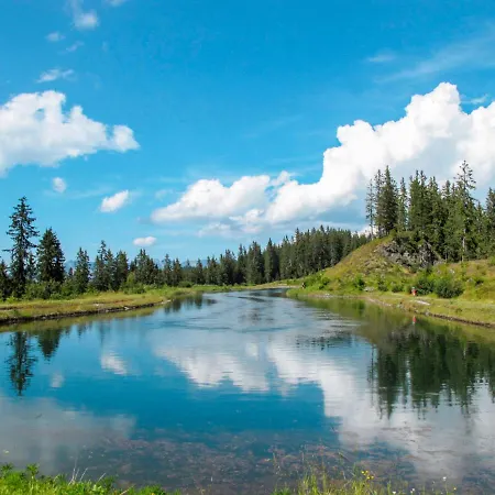 Apartment Neurauter-1 By Interhome Fügen